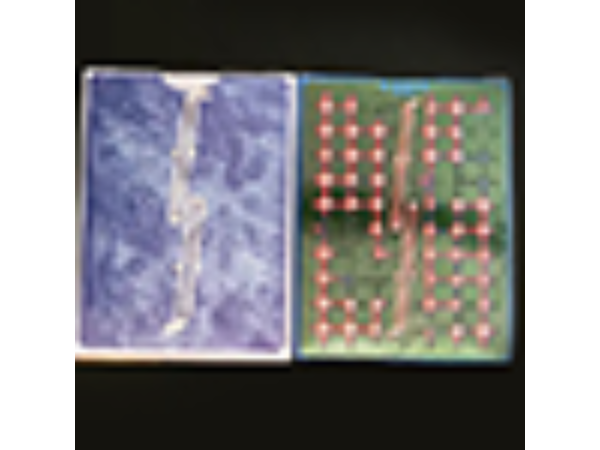 Fontaine Fantasy Blind Pack Playing Cards