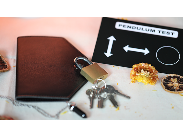 THE FOX 2.0 (Gimmicks and Online Instructions) by Luca Volpe and Alan Wong