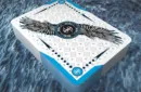 Ice Falcon Throwing Cards by Rick Smith Jr. and De'vo – Image 4
