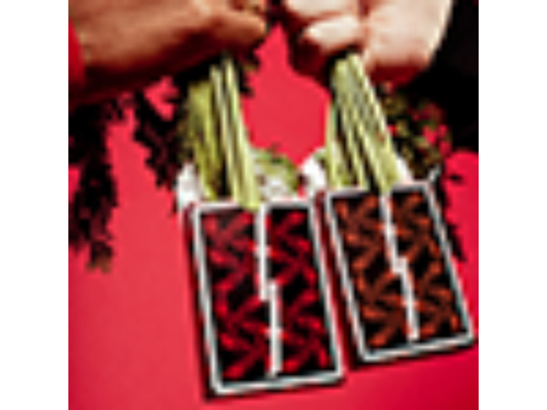 Fontaine: Carrots V2 Playing Cards