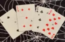 Gilded Bicycle Spider (Tan) Playing Cards – Bild 3