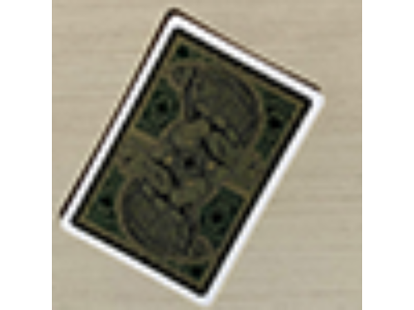 Gilded Bicycle Turtle (Land) Playing Cards