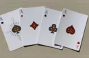 Gilded Bicycle Turtle (Land) Playing Cards – Image 2