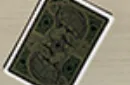 Gilded Bicycle Turtle (Land) Playing Cards – Image 3