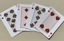 Gilded Bicycle Turtle (Land) Playing Cards – Image 5