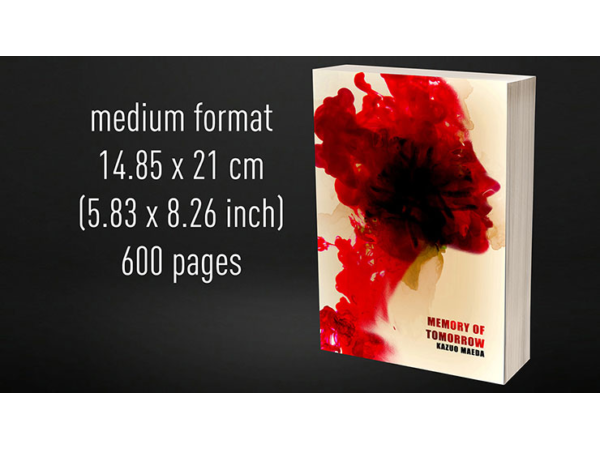 BABEL Book Test (Book 6 Large paperback/ 600 pg) by Vincent Hedan