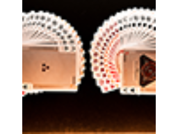 Gilded Cyberware (Rouge) Playing Cards