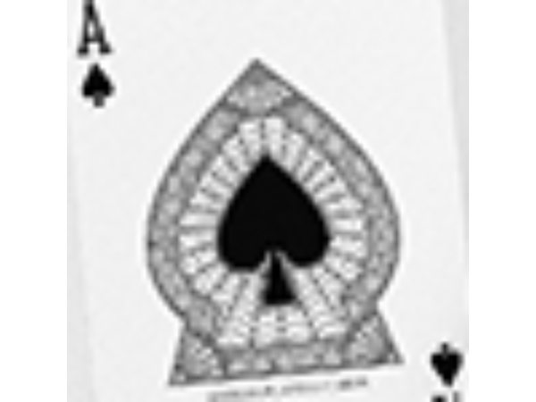 Spiders (Marked Cold Silver Foil) Playing Cards