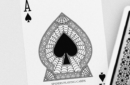 Httpswww magicshop chmediacatalogproductsisimple cardsspiders 4 png