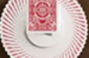 Pixel Kingdom (Red Edition) Playing Cards – Image 9