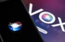 VOX (Toolkit and Online Instructions) by David Jonathan – Bild 2