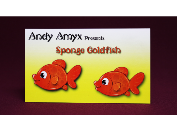 SPONGE GOLDFISH by Andy Amyx