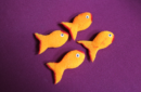 Httpswww magicshop chmediacatalogproductsisimple spng goldfish 2 png