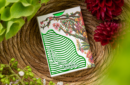 Httpswww magicshop chmediacatalogproductsisimple cardsverd 8 png
