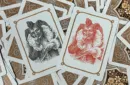 Four Continents (Copper) Playing Cards – Bild 4