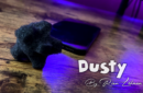 Httpswww magicshop chmediacatalogproductsisimple dusty 1 png