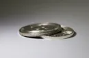 Bit Coin Shell (Silver) by SansMinds Creative Lab – Bild 3