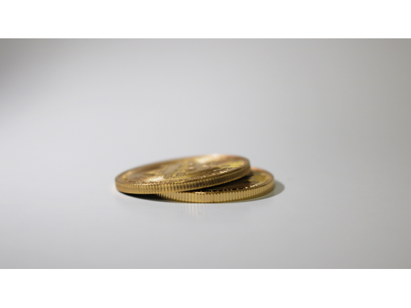 Bit Coin Shell (Gold) by SansMinds Creative Lab