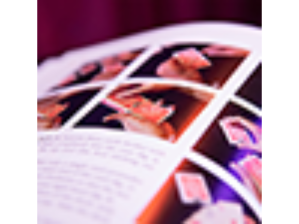 Vallarino by John Lovick and Jean-Pierre Vallarino - Book