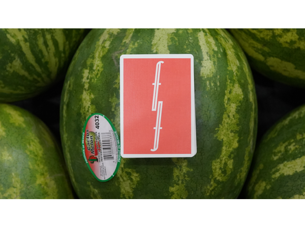 Fontaine: Watermelon Playing Cards