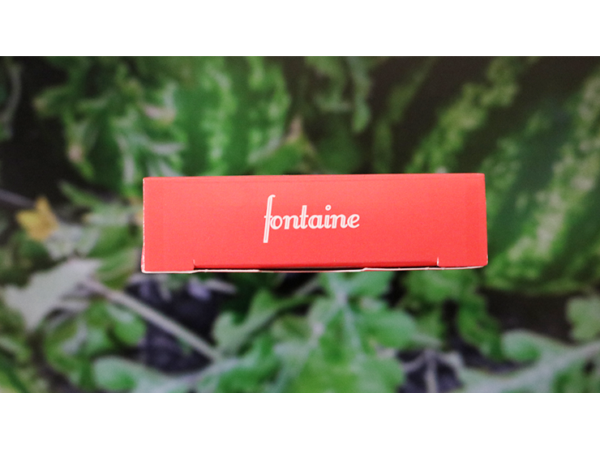 Fontaine: Watermelon Playing Cards