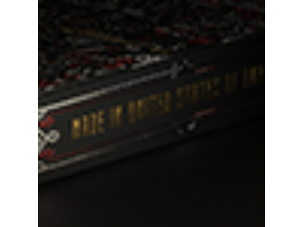 Warrior Women (Gilded) Playing Cards by Headless Kings