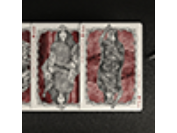 Warrior Women (Gilded) Playing Cards by Headless Kings