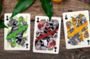 Httpswww magicshop chmediacatalogproductsisimple cardsjuic 6 png