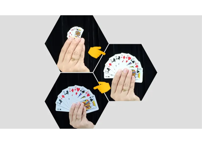 Reverse Card (Gimmicks and Online Instructions) by Dominique Duvivier - Trick