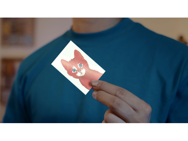 SPIX (Gimmick and Online Instructions) by Les French Twins & Magie-Factory