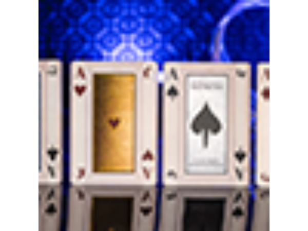 Mistborn Playing Cards by Kings Wild Project