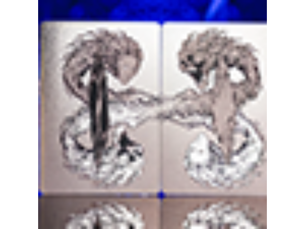 Mistborn Playing Cards by Kings Wild Project