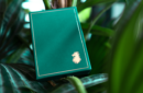 Httpswww magicshop chmediacatalogproductsisimple cardsleon v2 1 png