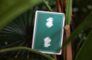 Httpswww magicshop chmediacatalogproductsisimple cardsleon v2 2 png