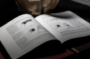 Httpswww magicshop chmediacatalogproductsisimple mint2 6 png