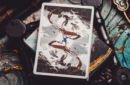 Httpswww magicshop chmediacatalogproductsisimple cardsgreatsage 6 png