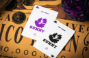 Httpswww magicshop chmediacatalogproductsisimple cardsone robin 2 png