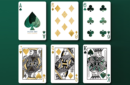 Httpswww magicshop chmediacatalogproductsisimple cardsfluid luxgrn 6 png
