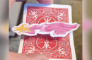 Httpswww magicshop chmediacatalogproductsisimple fltlad 2 png