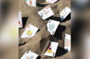 Httpswww magicshop chmediacatalogproductsisimple fontaine sponge 8 png