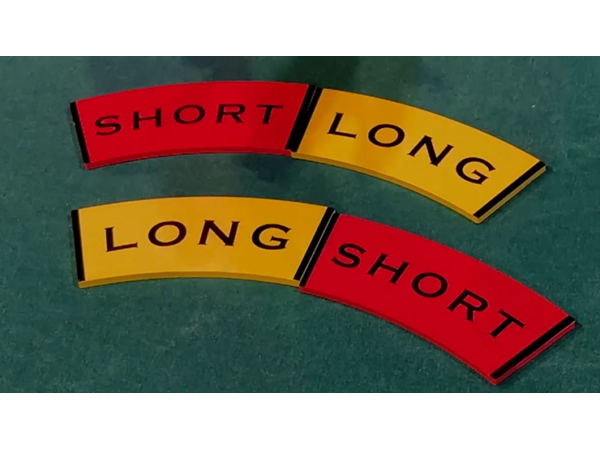 THE LONG AND SHORT OF IT SPANISH by David Regal