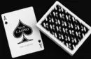 MxS Casino Stingers Playing Cards by Madison x Schneider – Image 3