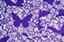 Httpswww magicshop chmediacatalogproductsisimple cardsbutter royal 9 png