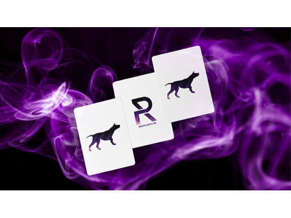 Sirius B V5 Playing Cards by Riffle Shuffle