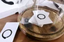 Enso (Gimmicks and Online Instructions) by Eric Chien – Image 2