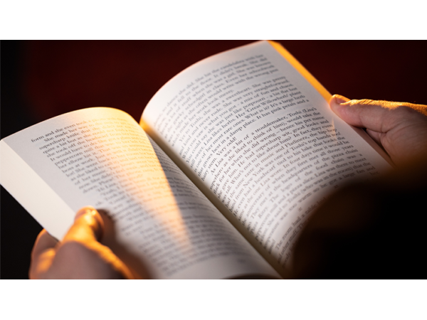 The End Book Test by Angelo Carbone (Gimmick and Online Instructions)