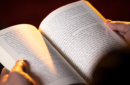 Httpswww magicshop chmediacatalogproductsisimple theendangelo 2 png