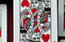 Ace Fulton's Casino: Fools Gold Playing Cards – Bild 2