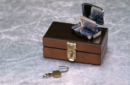 Httpswww magicshop chmediacatalogproductsisimple destinbox 10 png