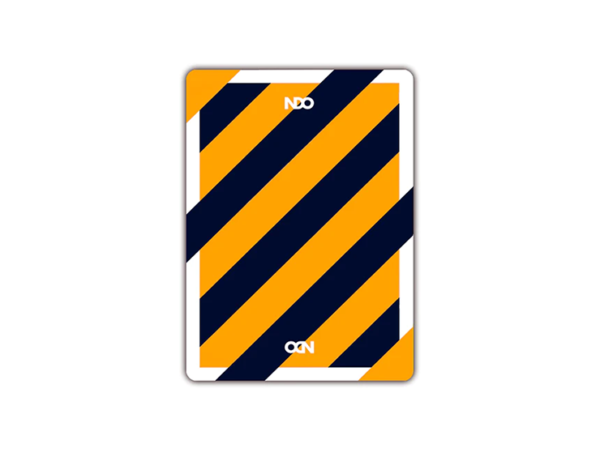 Broken Borders 2020 Playing Cards by The New Deck Order